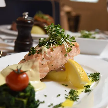 Otel Clybaun Galway